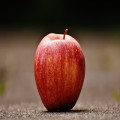 Wat betekent de uitdrukking 'de appel valt niet ver van de boom'?