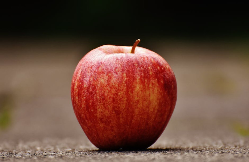 Wat betekent de uitdrukking 'de appel valt niet ver van de boom'?