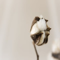 Een nieuw tintje in de slaapkamer met beddengoed