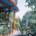 Beleef het lokale leven en de Surinaamse cultuur tijdens je vakantie
